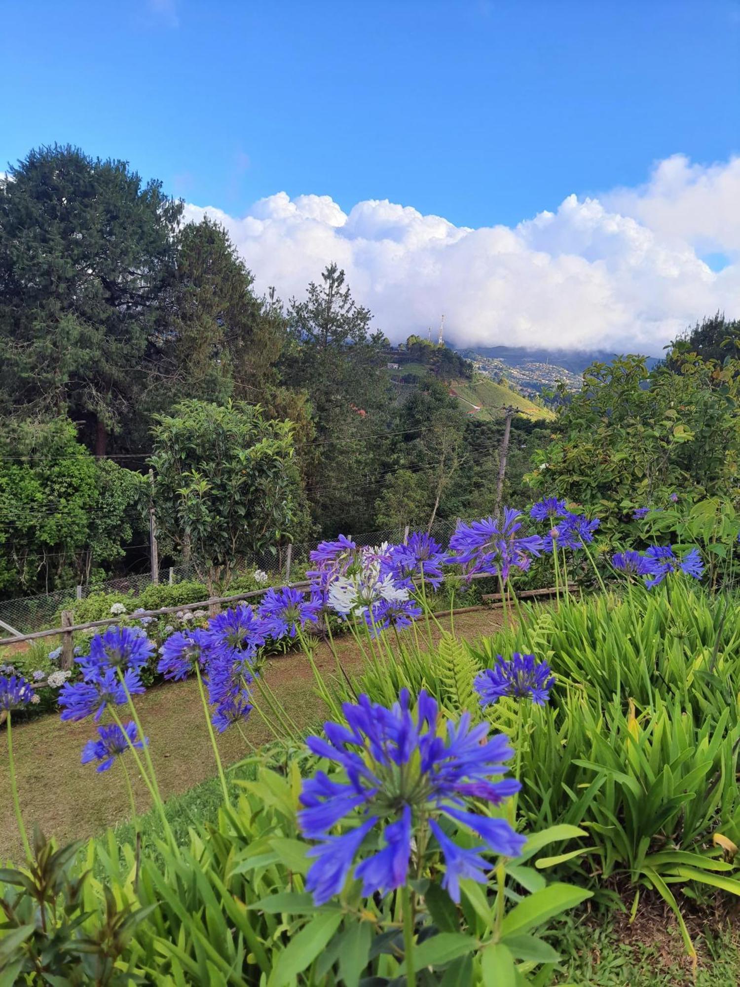 Valle Do Sol *